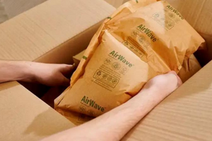 Воздушная подушка PaperWave получила награду World Star Packaging Award 2023